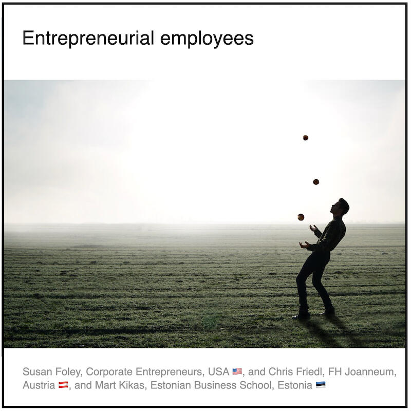 Download PDF: Entrepreneurial employees by Paul Coyle (Entrepreneurial Mindset Network, France) and Susan Foley (Corporate Entrepreneurs, USA) and Chris Friedl (FH Joanneum, Austria) and Mart Kikas (Estonian Business School, Estonia).